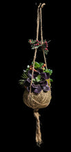 Load image into Gallery viewer, Hanging Kokedama #3