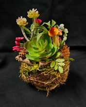 Load image into Gallery viewer, Sitting Kokedama #4
