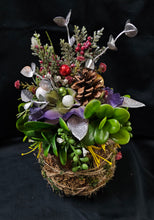 Load image into Gallery viewer, Sitting Kokedama #6