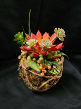 Load image into Gallery viewer, Sitting Kokedama #3