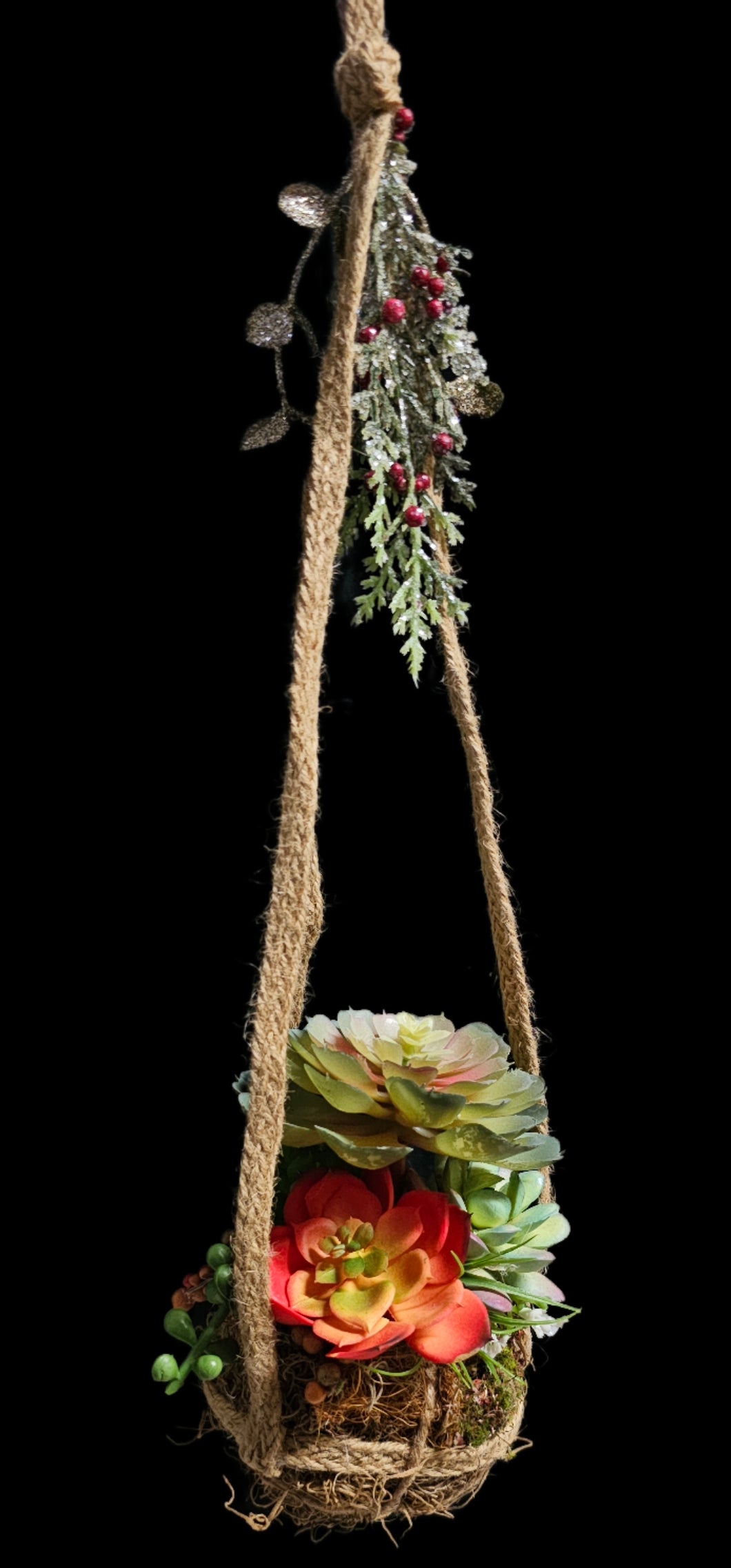 Hanging Kokedama #4