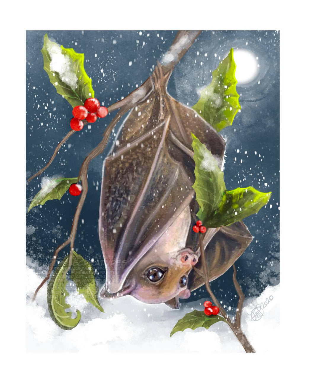 Winter Fruit Bat